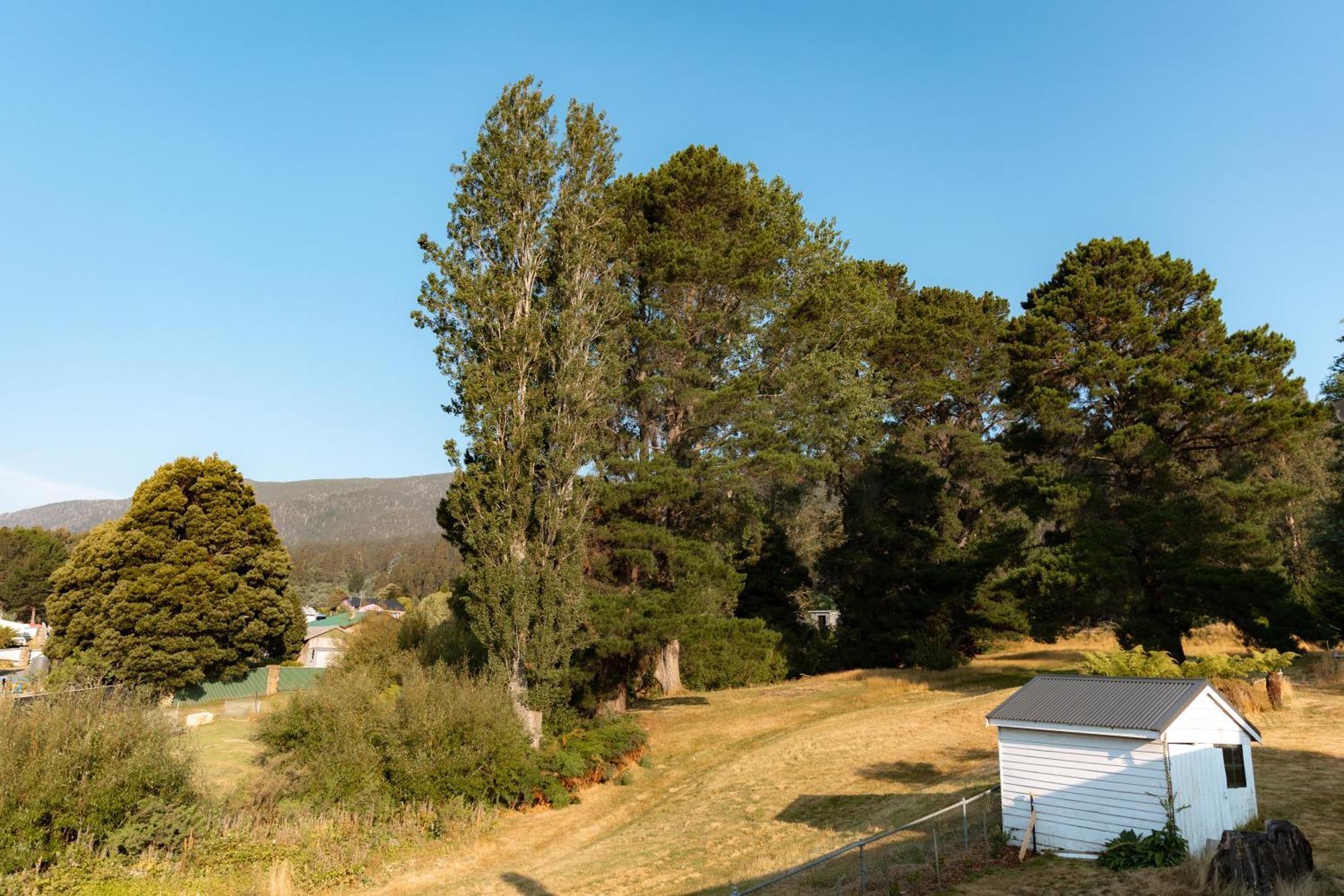 Maydena Chalet Buitenkant foto